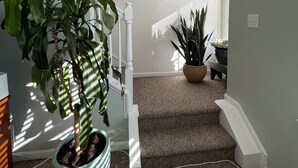 Een trap met een potplant aan de linkerkant en een lijst met een bordje aan de muur.