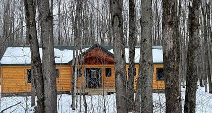 Northern MI Log Cabin Inn–Hot Tub, Trails, Pools, Golf