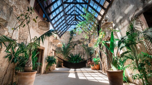 Un atrium ampli amb un sostre alt, grans finestres i abundant vegetació.
