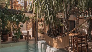 Una cadira d'hamaca, cadires de fusta, plantes en testos i una piscina en un espai exterior il·luminat pel sol.