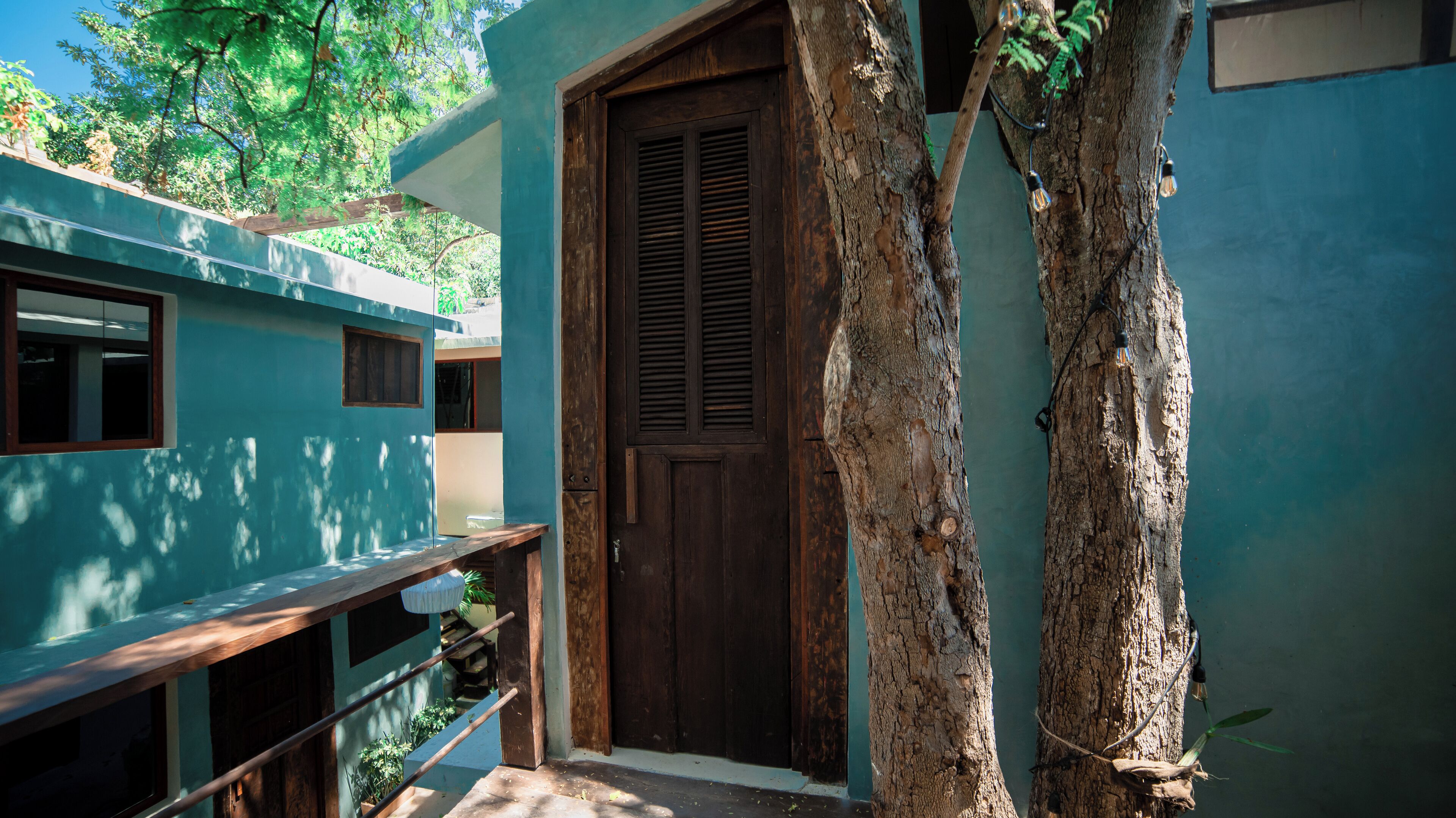 A building with a wooden door, a small window, and a tree trunk.