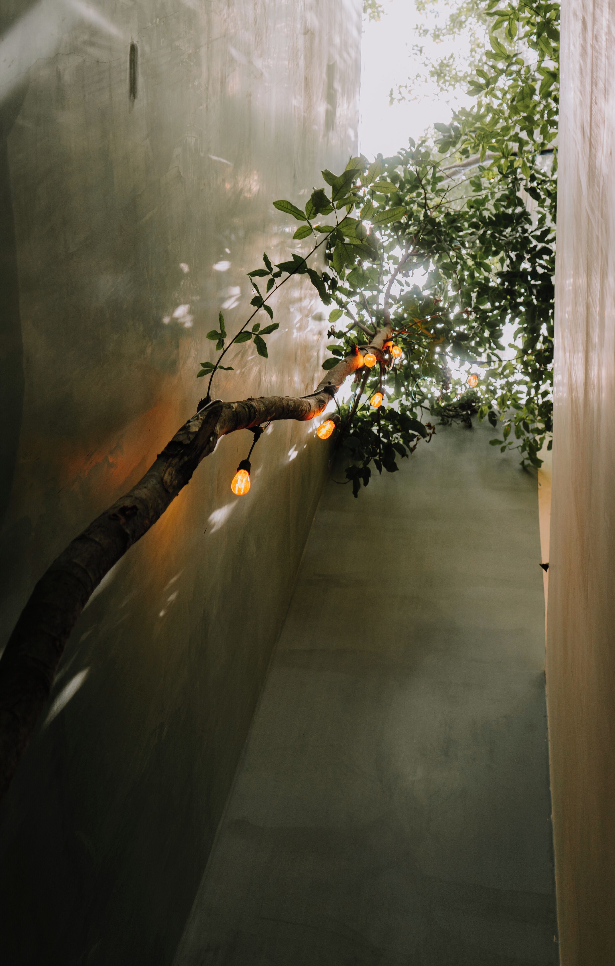 A narrow corridor with a tree branch adorned with hanging lights, creating a warm ambiance.