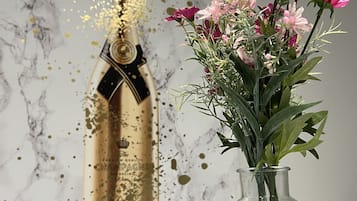 Apartamento, 1 cama Queen | Área da propriedade