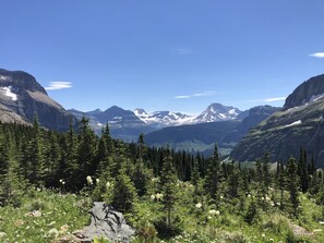 Eine gebirgige Landschaft mit dichten Wäldern und schneebedeckten Gipfeln unter blauem Himmel.