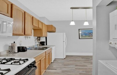 Cozy Historical 1 Bedroom Apartment