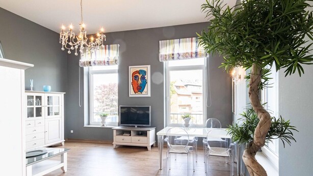 Ein modernes Wohnzimmer mit Fernseher, Esstisch, Stühlen und einem großen Topfbaum.
