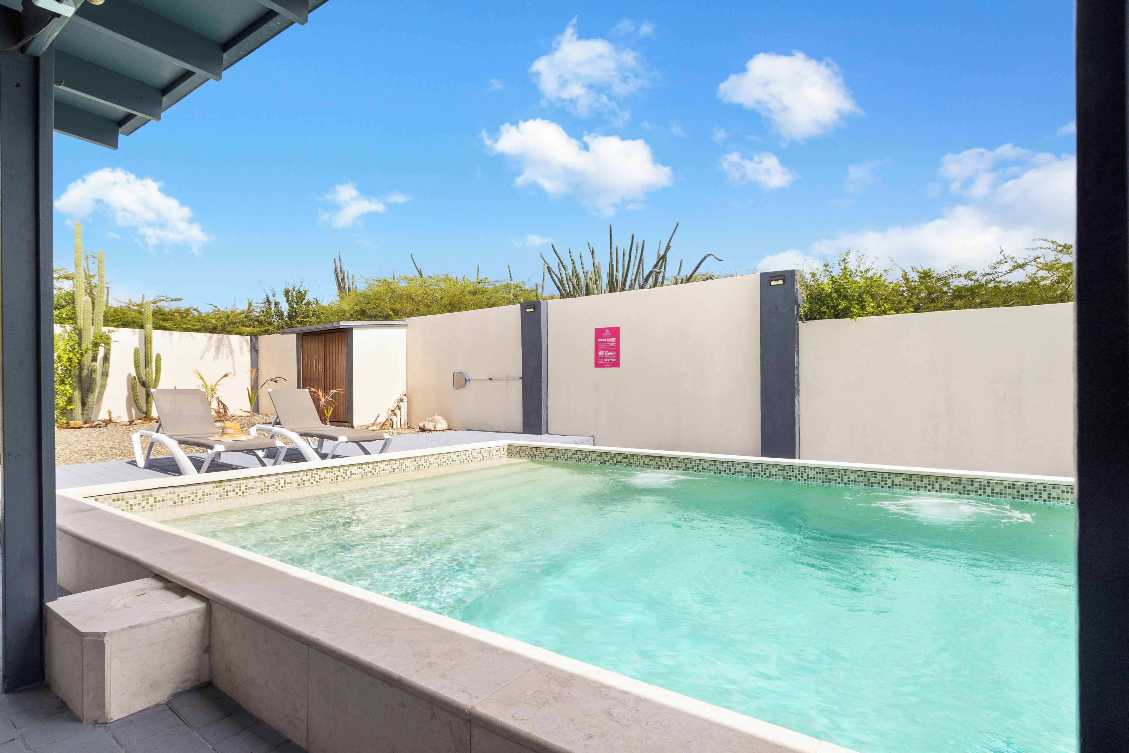 Ein Schwimmbecken mit Liegestühlen, einer kleinen Terrasse und einem Kakteengarten.