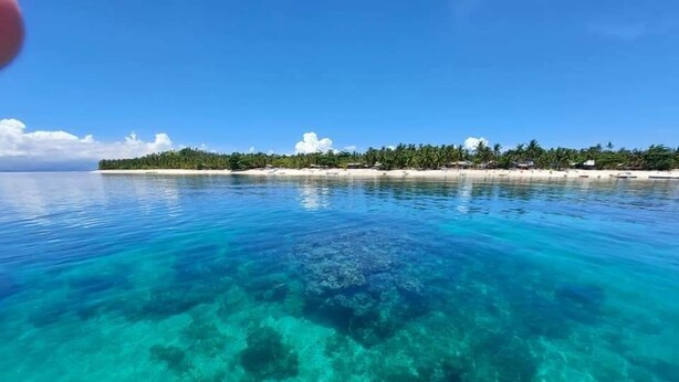 A clear view of a turquoise sea with visible coral reefs, a sandy beach, and a line of palm trees in the distance. - Anajawan Island Beachfront Resort  (General Luna)
