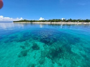 En klar vy över ett turkosfärgat hav med synliga korallrev, en sandstrand och en rad med palmer i fjärran.