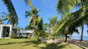 A beachfront property with palm trees, a grassy lawn, and a building with large windows. - Anajawan Island Beachfront Resort  (General Luna)