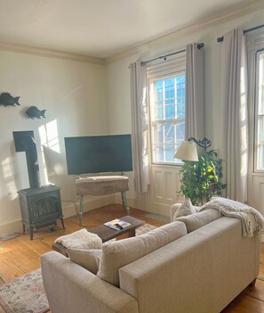 Smart TV, chimenea y libros