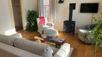 Smart TV, fireplace, books