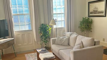 TV connectée, cheminée, livres