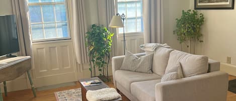 Smart TV, chimenea y libros