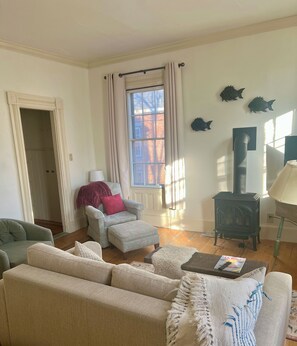 Smart TV, fireplace, books