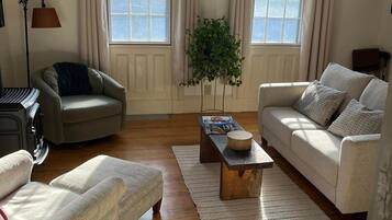 Smart TV, fireplace, books