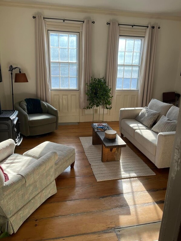 Smart TV, fireplace, books