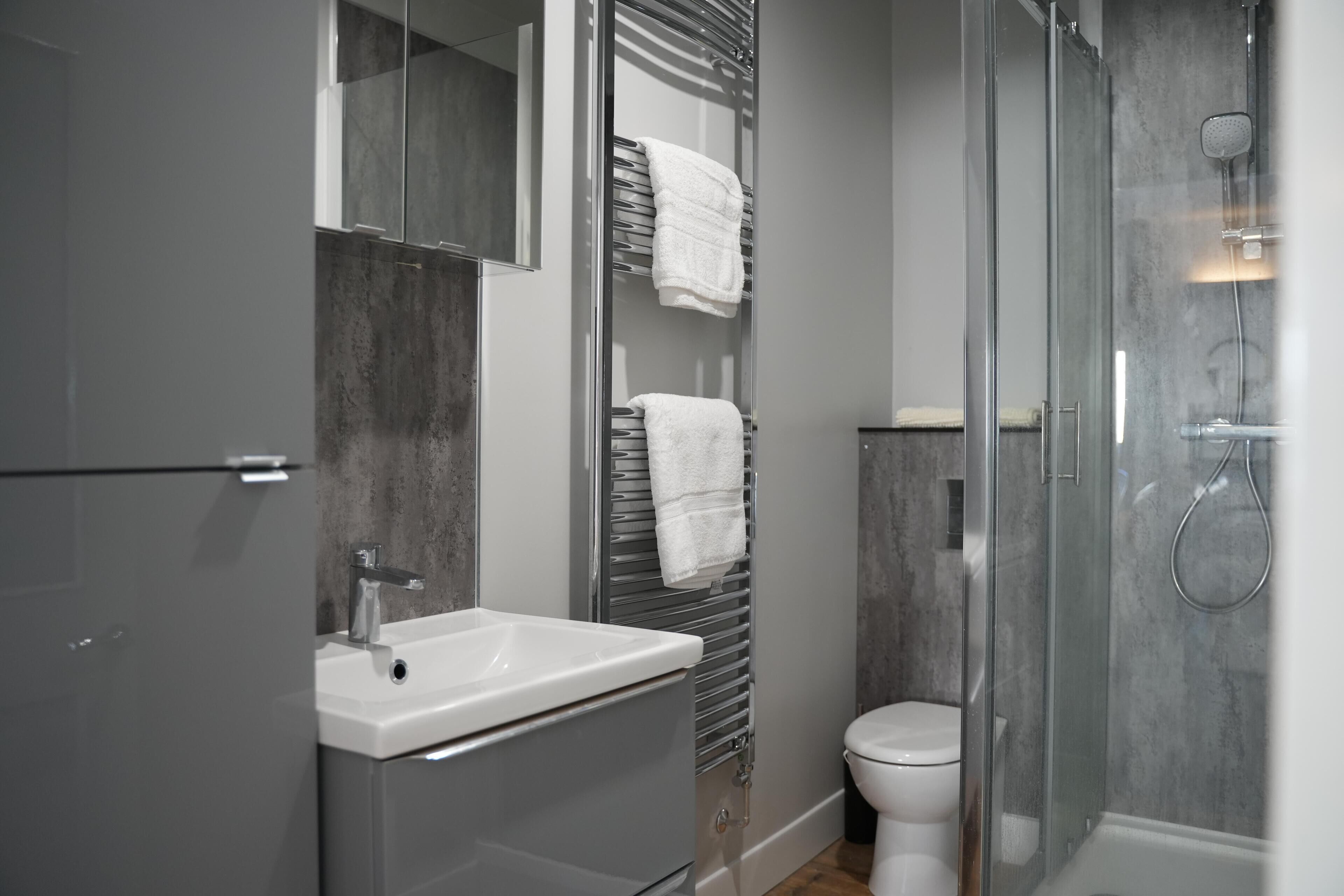 Shower, hair dryer, towels