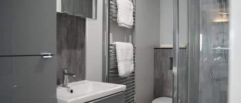 Shower, hair dryer, towels