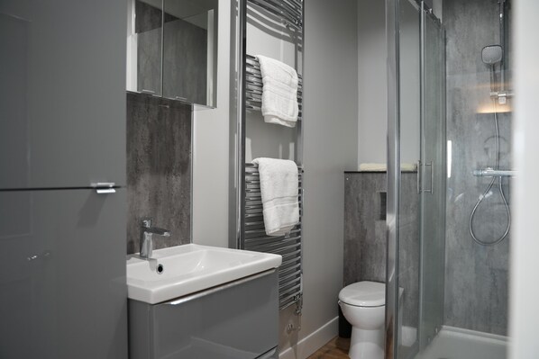 Shower, hair dryer, towels