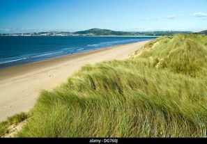 Enjoy the serene coastal landscape with a sandy beach and lush grassy dunes.