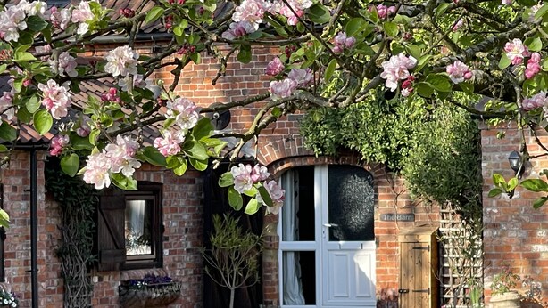 A brick house with a white door, a small window, and a wooden door frame. There are potted plants and a bench outside. - 2-Bed 18th Century Barn - Sleeps 6 - Pet Friendly (Boston)