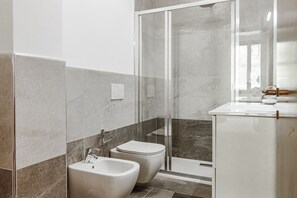 Shower, hair dryer, bidet, towels