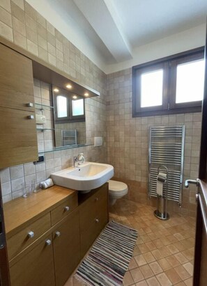 Shower, hair dryer, bidet, towels