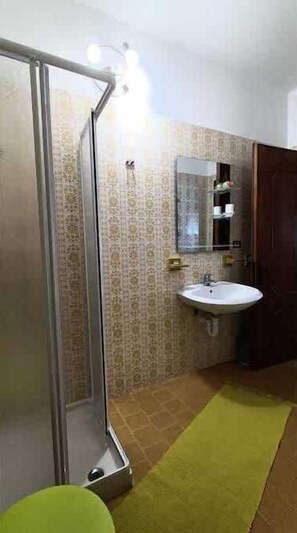 Shower, hair dryer, bidet, towels - Apartment lake view, garden and parking - A15 (Domaso)