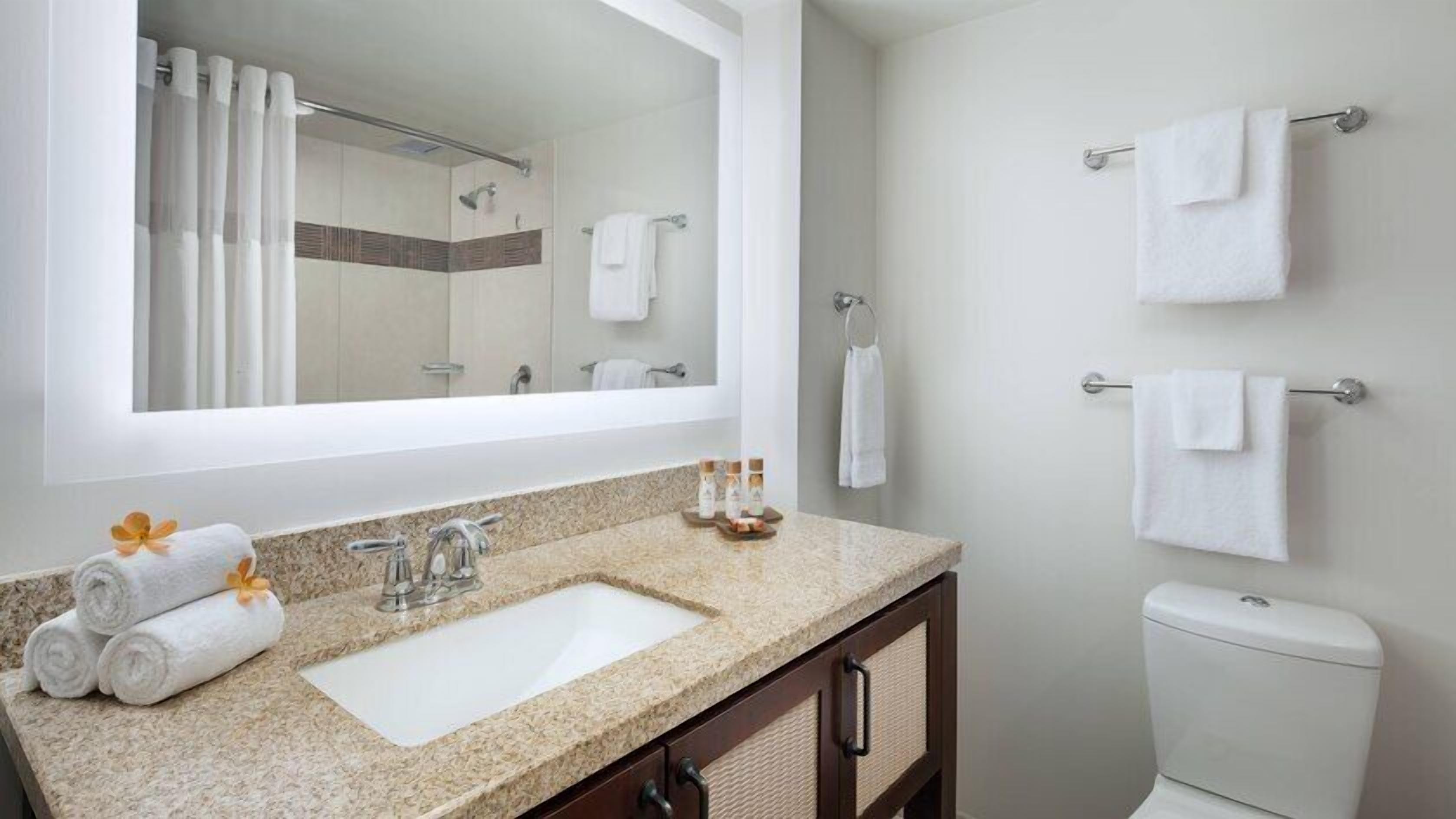 Hair dryer, bidet, towels, soap