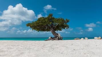 Serviettes de plage