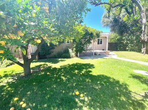 Enjoy a serene backyard retreat with a lush lawn and a mature lemon tree.