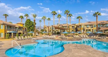 Palm Desert | Desert Oasis | Golf & Resort Pool