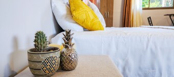 The Spring Loft | Santiago