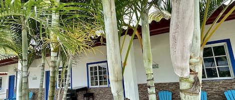 Un edificio con un patio adoquinado, sillas azules y palmeras.