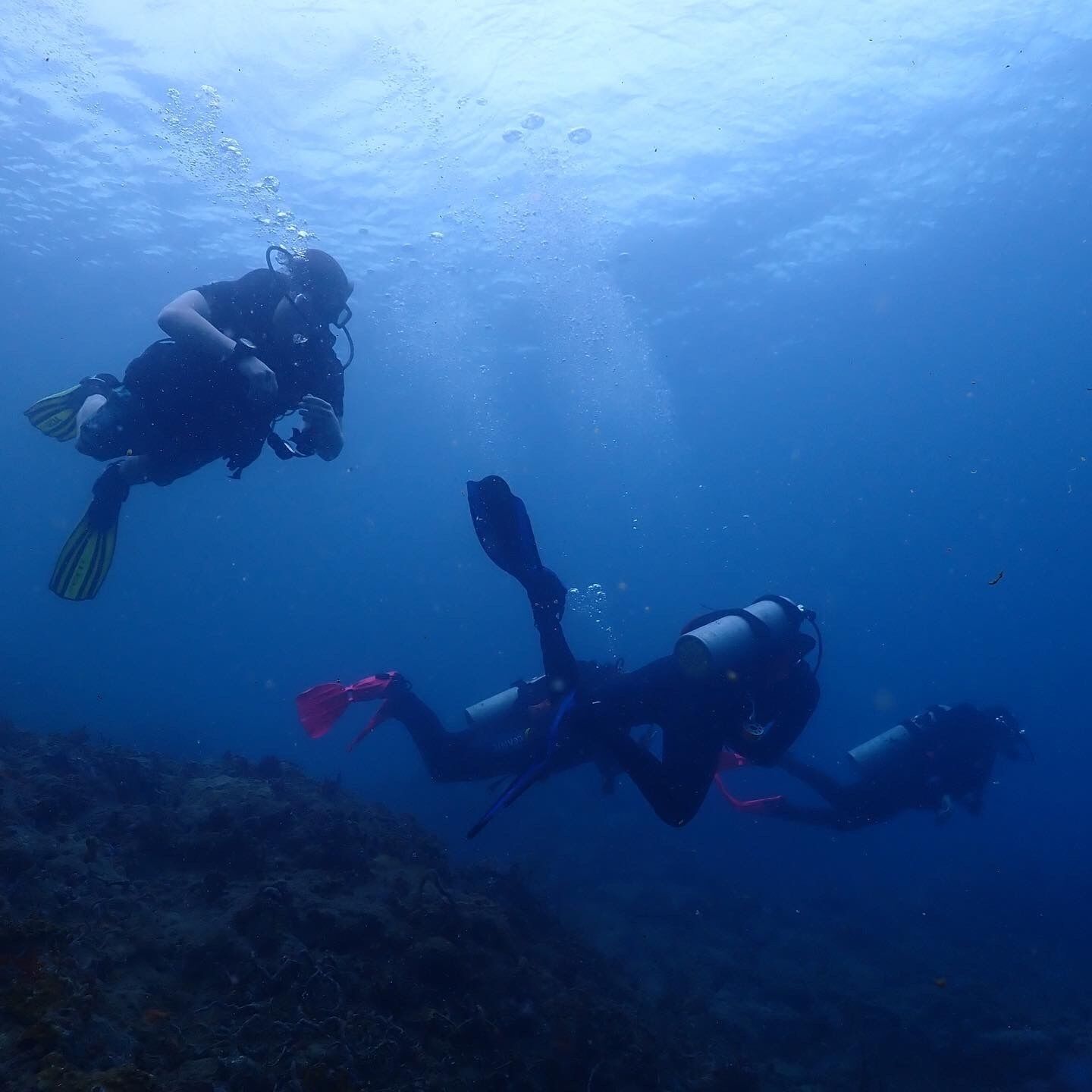 Two scuba divers underwater with fins and tanks.