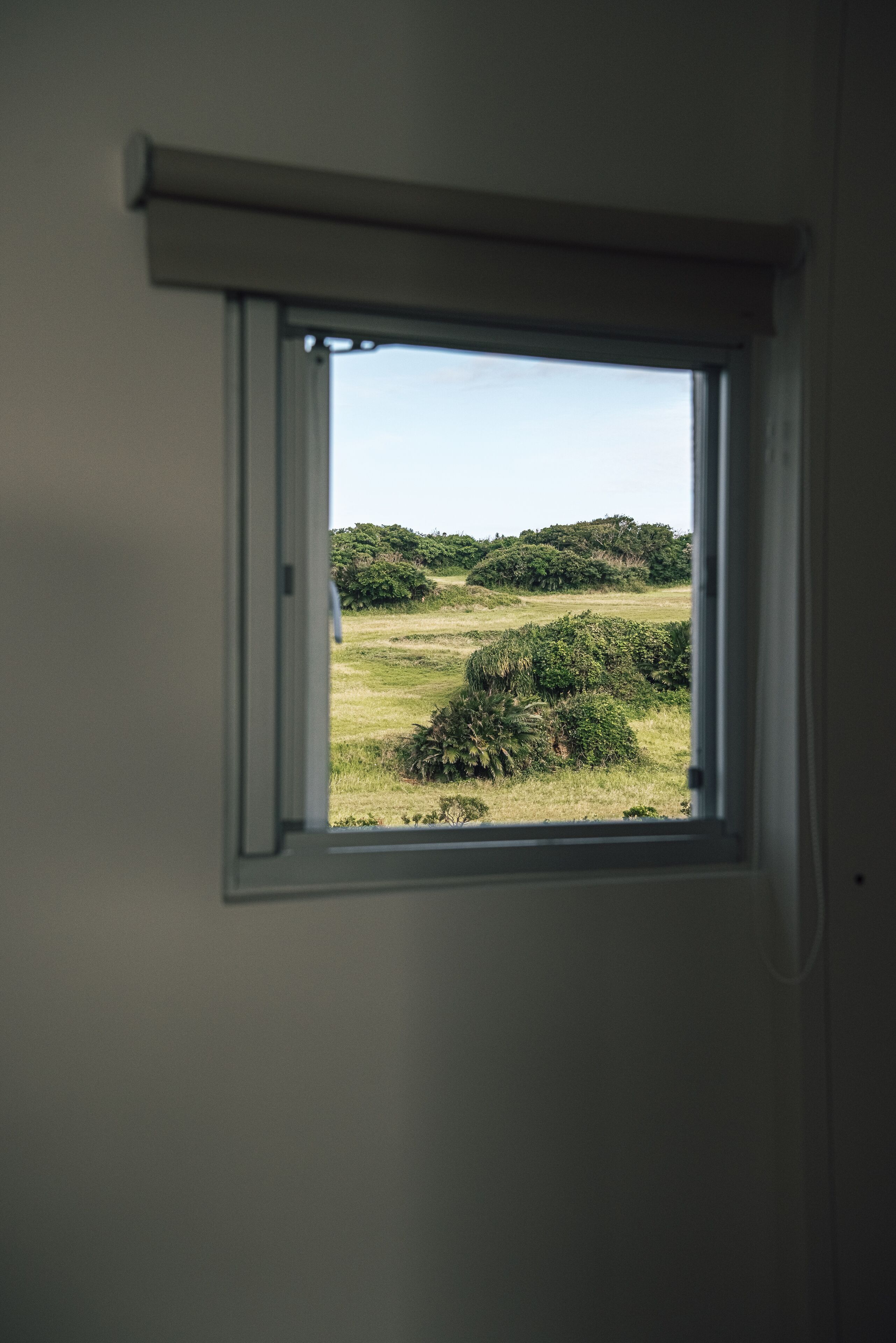 A window with a view of a grassy field and trees.