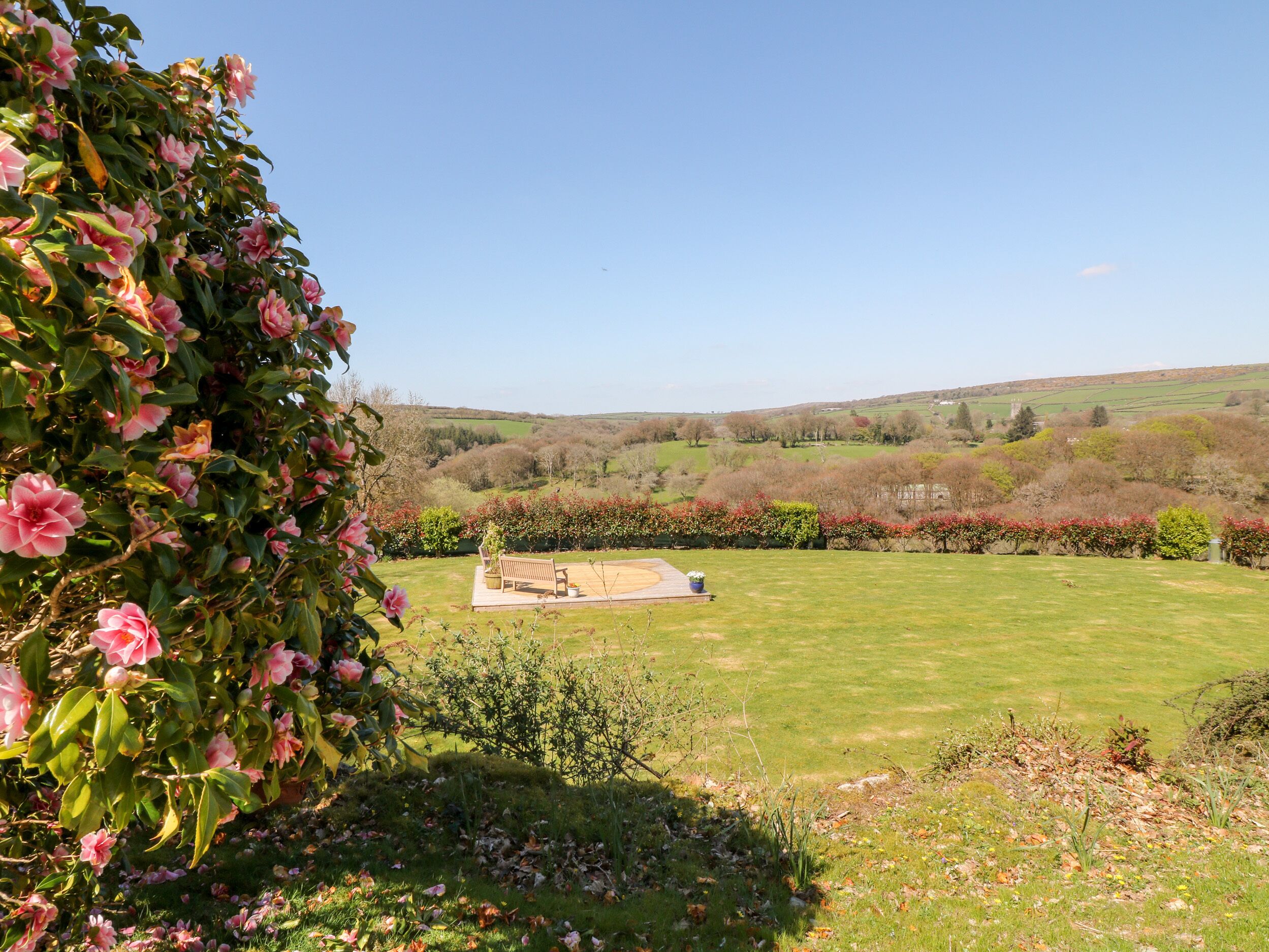 A garden with a bench and a circular flower bed, surrounded by a variety of plants and trees.