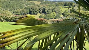 A lush green landscape with rolling hills and a clear sky. - The View (Bodmin)