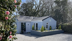 A modern house with a grey exterior, a white door, and a small garden with yellow flowers and green shrubs. - The View (Bodmin)