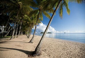 A beach with palm trees and a clear sky. - Coconut Blue: Own Heated Pool | Walk to Beach/Eateries/Shops | Courtyard Shower (Palm Cove)