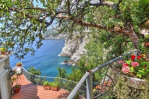 Property grounds - Villa Abbondanza: A splendid and luminous three-story villa set into the cliff, sheer above the sea and with direct access to the sea, with Free WI-FI. (Furore)