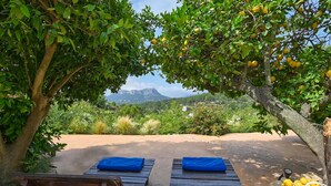 Une terrasse en bois avec deux bancs, un panier de citrons et une vue sur les montagnes.