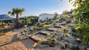 Un jardin aménagé avec des allées et différentes espèces de plantes, un palmier et un bâtiment en arrière-plan.