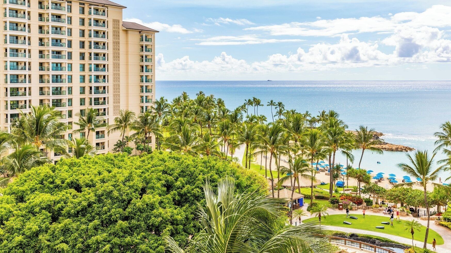 A hotel with a view of the ocean, palm trees, and a beach with umbrellas.
