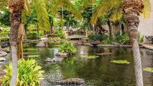 A serene indoor garden with a pond, surrounded by lush greenery and palm trees. - Ko Olina | Beach & Pool Access | Tropical Resort Stay (Kapolei)