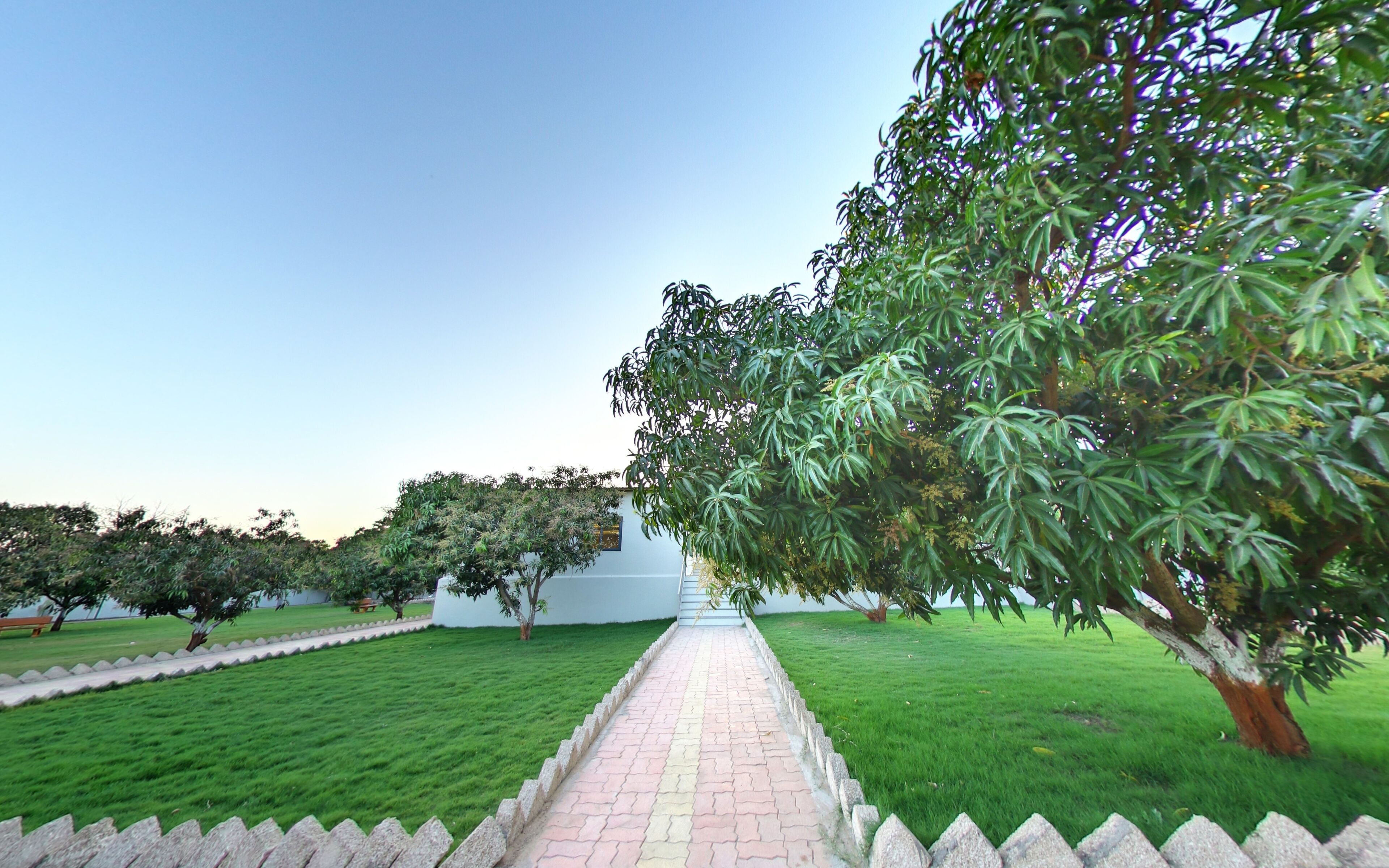A pathway leading to a white building with a garden and trees on either side.