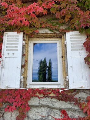Detalle exterior