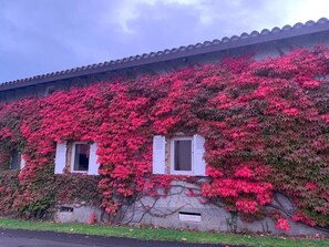 A building with a tiled roof and ivy-covered walls.