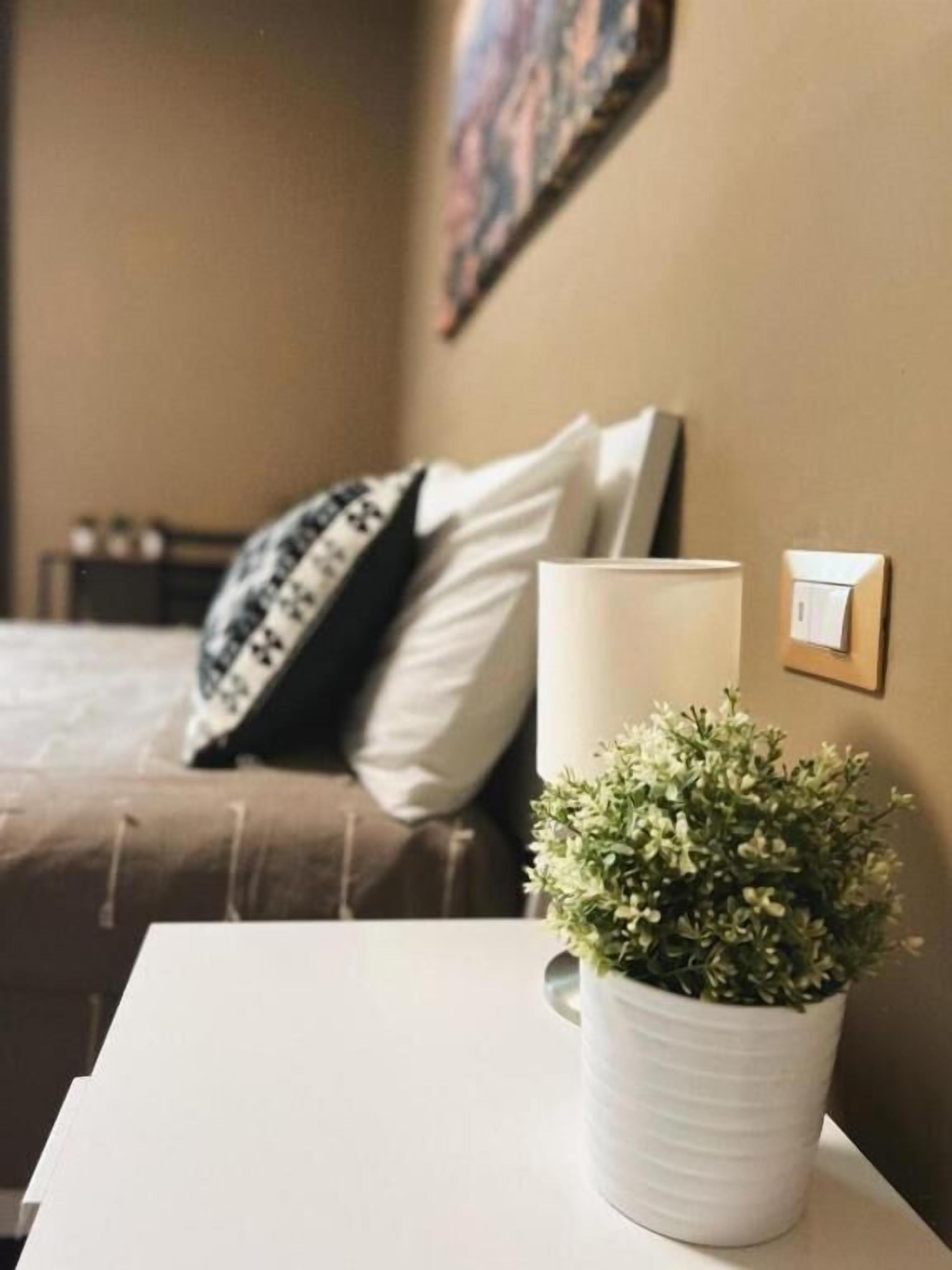 A hotel room with a bed, a bedside table with a potted plant, a wall-mounted light switch, and a painting on the wall.